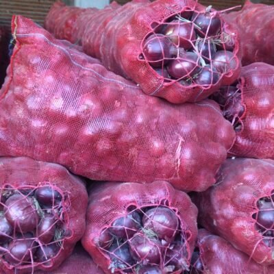 IMG_20251124_141806_055