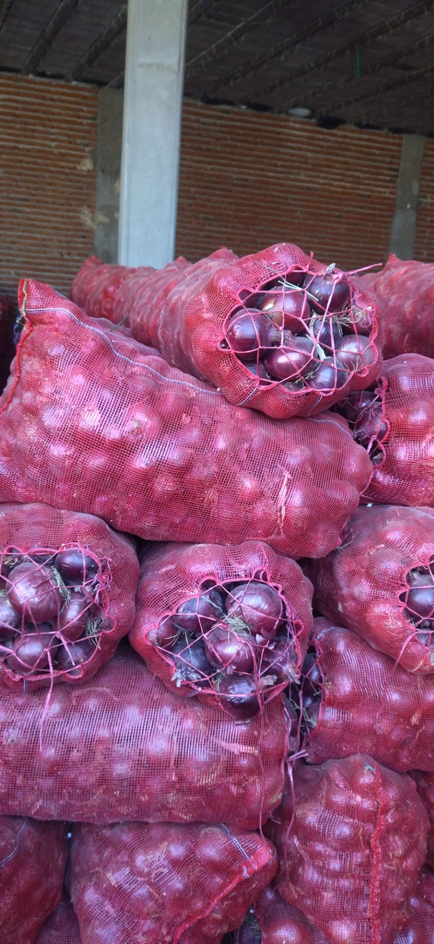 IMG_20251124_141806_055